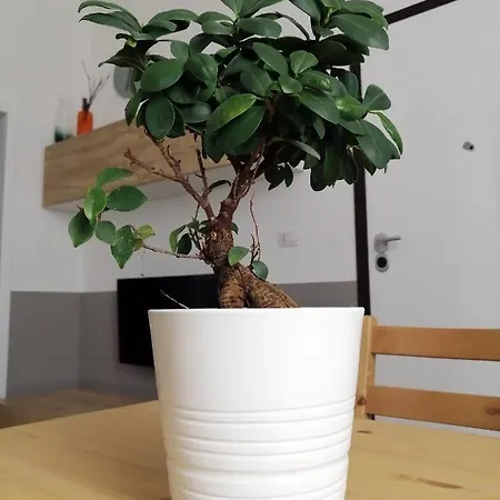 La Casa Blu Appartement *