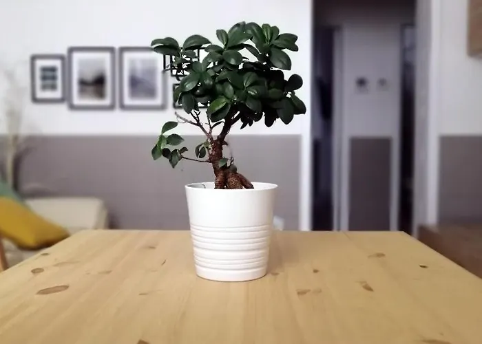 La Casa Blu * 巴里