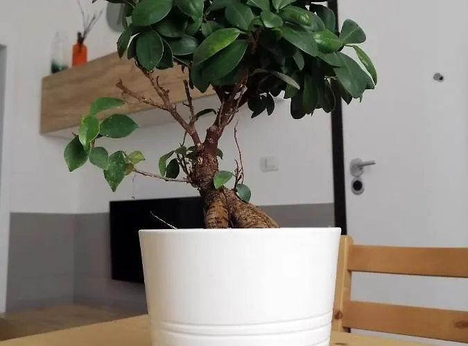 La Casa Blu 公寓 *